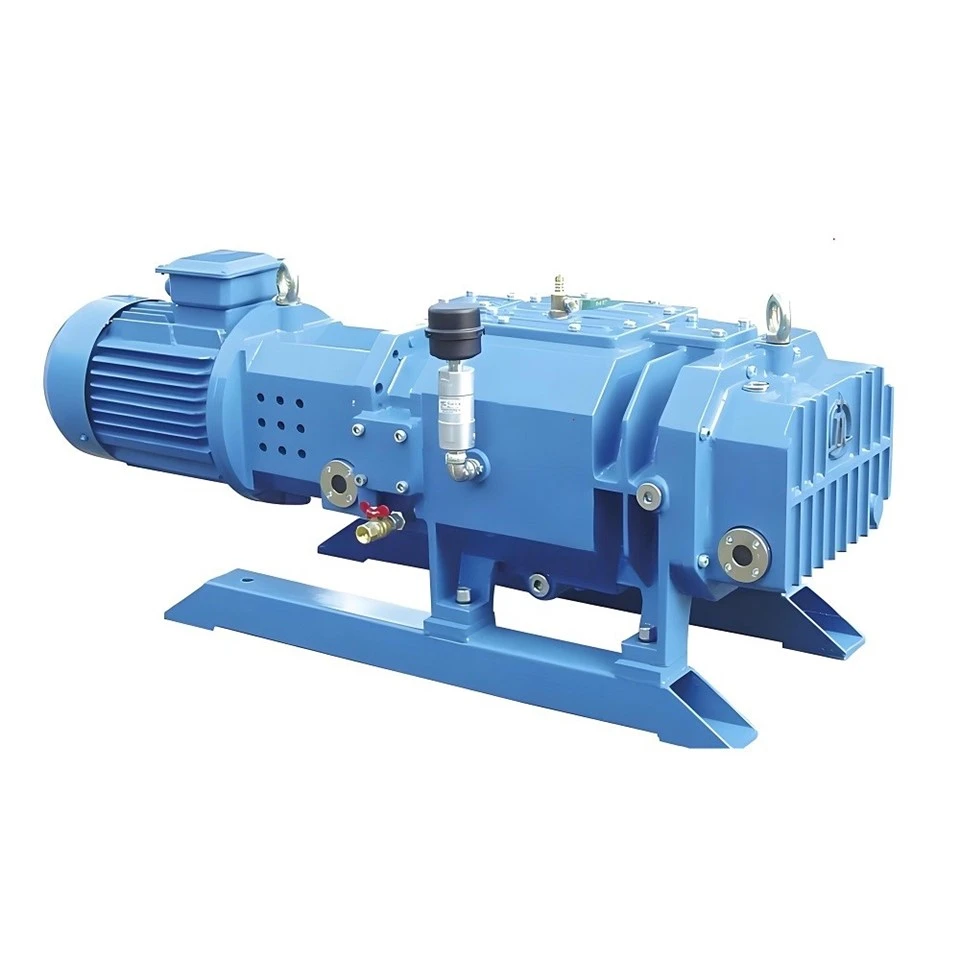 Dry Screw Vacuum Pumps