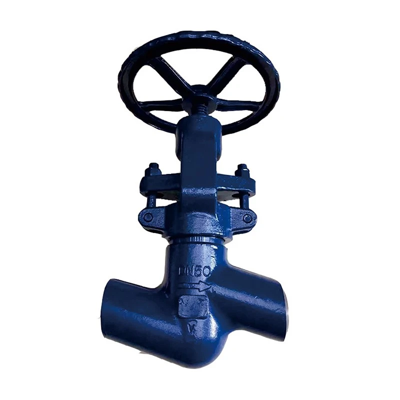 Bellow Seal Globe Valve
